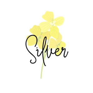 Silver Growth Summit Sponsor